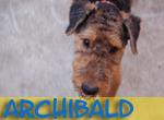 Archibald