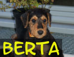 Berta